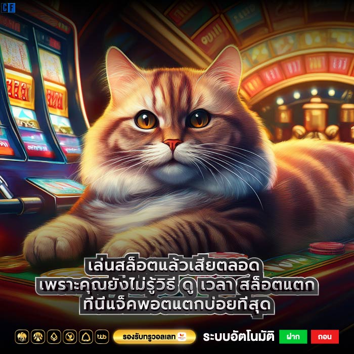 เล่นสล็อตแล้วเสียตลอด เพราะคุณยังไม่รู้วิธี ดู เวลา สล็อตแตกที่นี่แจ็คพอตแตกบ่อยที่สุด
